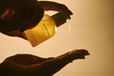 bright-theory-5